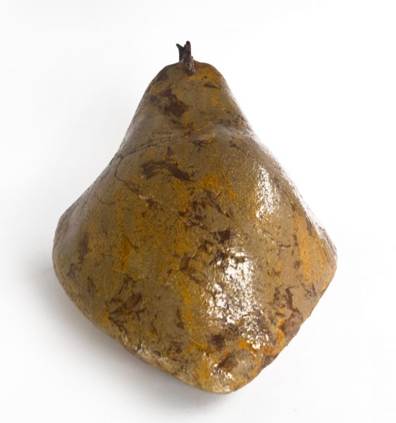 szamotowa kura domowa