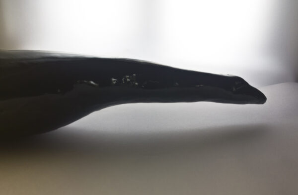 głowa dużej zielonej gęsi